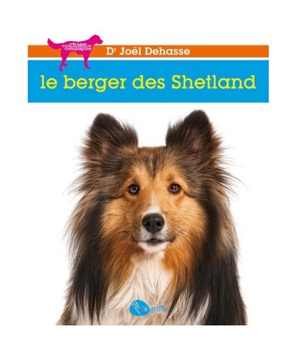Berger des shetland - le,