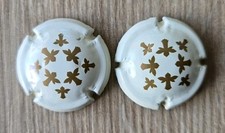 2 Capsules Identiques Bière