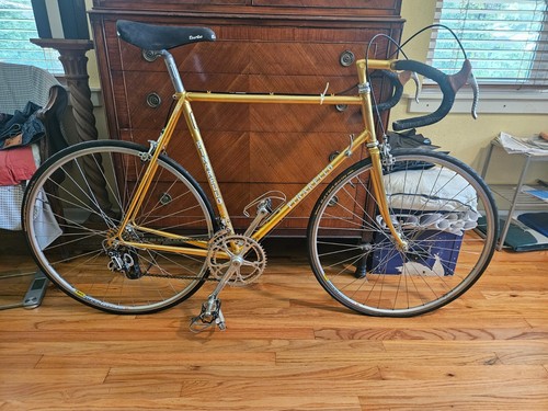 Vintage pinarello road - vintage, bike