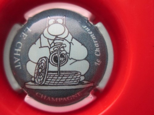 Chinchilla capsule champagne - chinchilla,