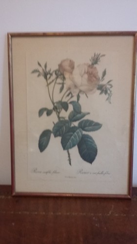 Ancienne gravure encadree - gravure,