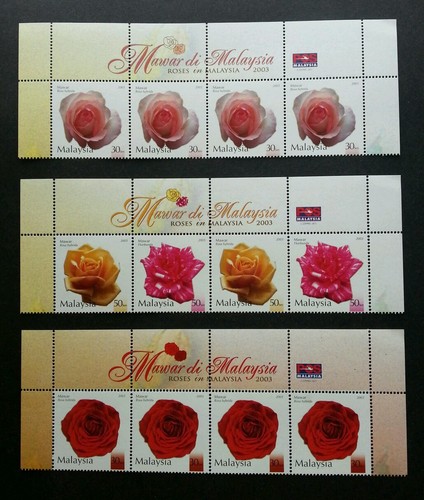 Livraison gratuite roses en - livraison,