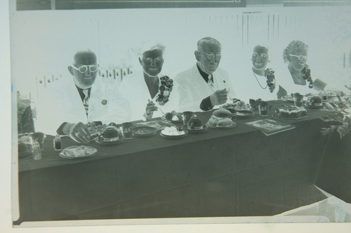 Press photo negative - b&w,