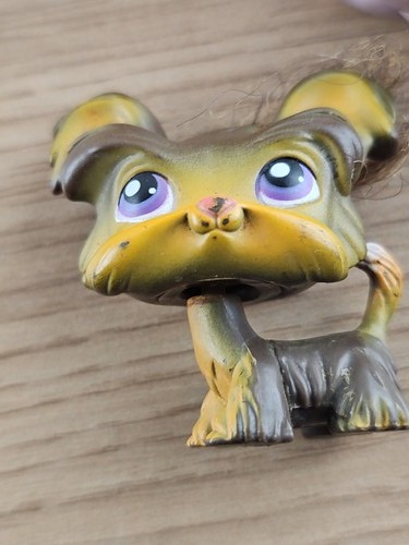 Littlest petshop ancien - my,