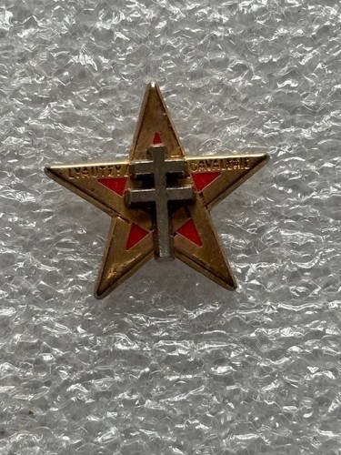 Cavalerie pins abp regt - cavalerie, er