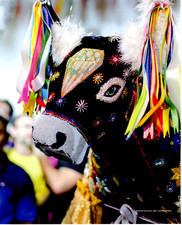 2019 Print Brazil Bumba Meu Boi Festival Play Sao Luís Maranhão