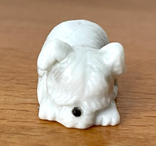 Adorable Fève Petit Chien