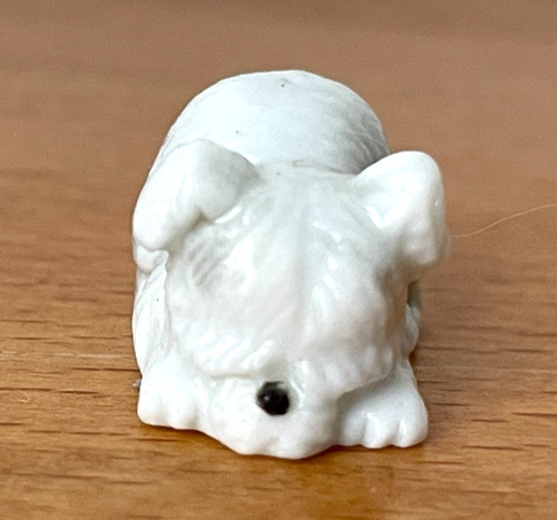 Adorable fève petit chien - adorable,