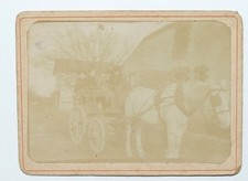 OLD PHOTO CART HORSE HITCH