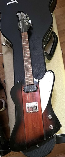 2011 epiphone mandobird - 2011,