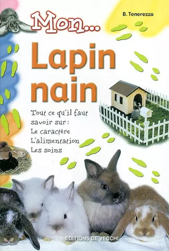 Mon lapin nain - b, tenerezza