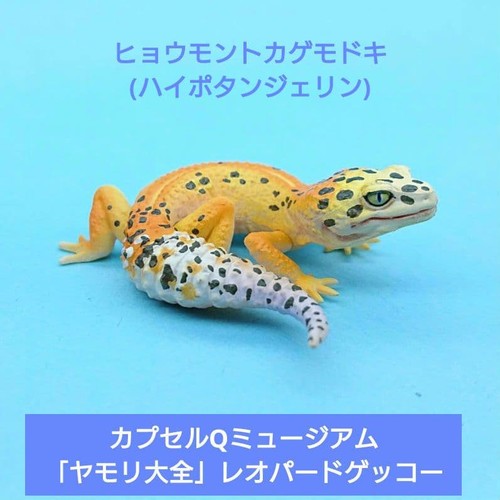 Rare kaiyodo capsule q gecko - capsule,