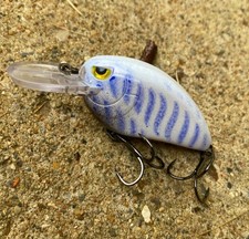 Custom crankbait Spro lil jon KO (Lavender shad)
