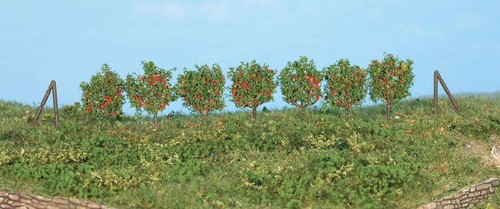 Heki arbres espalier - espalier,