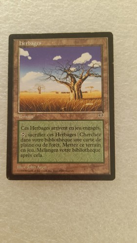 Carte mtg magic the gathering - carte,
