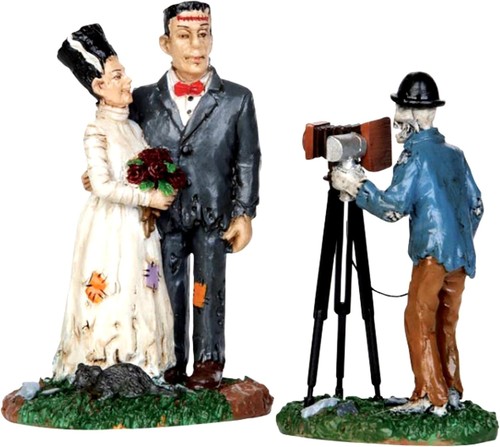 Wedding photo frankenstein - photo,