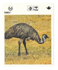 Fiche - Le livre de Paris - 1975 - Emeu