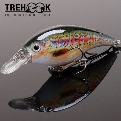 Leurre dur 6cm 10g flottant