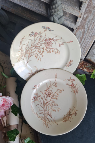 Anciennes assiettes plates - anciennes,