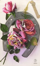 CP HORSESHOE ROSES - 14030