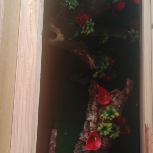 Terrarium rectangulaire - , en