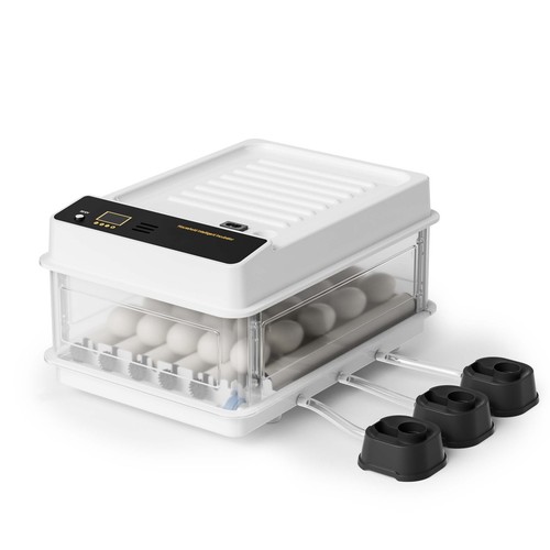 Fudajo couveuse surface - couveuse,