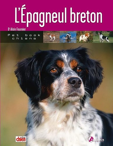 épagneul breton - l', (0)