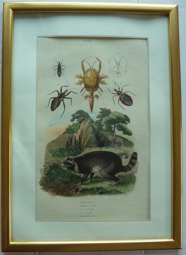 19th century color - 19th,