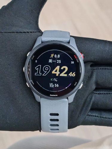 Garmin forerunner 255 regular - garmin,
