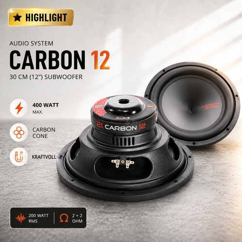 Audio system carbon - carbon, 12
