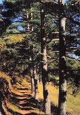 66 LA PRESTE LES BAINS CHAINE THERMALE DU SOLEIL