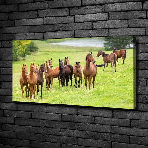 Tulup tableaux sur toile image - sur,