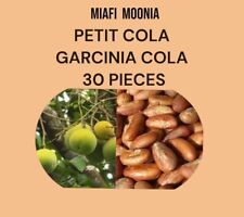 PROMO NOIX DE PETIT COLA