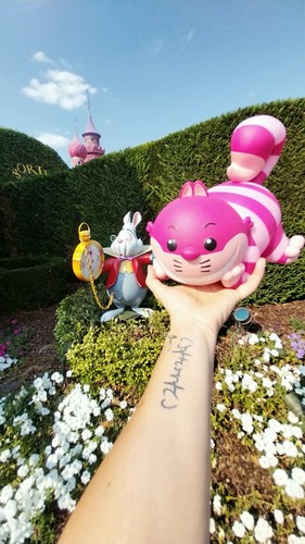 Tirelire disneyland paris - tirelire,