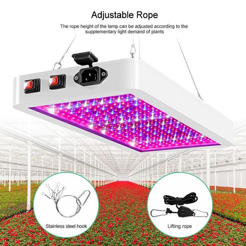 Lampe culture led - lampe, de