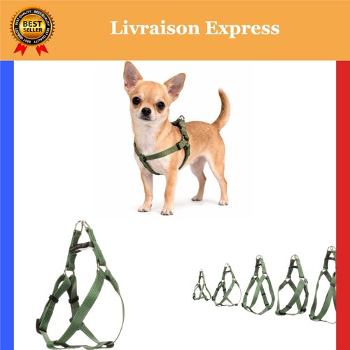 Harnais chien flamingo - harnais, step&go