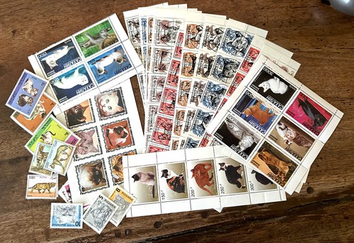 Chats lot 100 - chats,, timbres