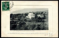 Old postcard 06 St-Laurent du Var. Olive coasts and vineyards. 1912