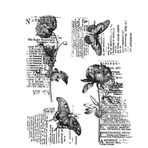 Tim holtz stampers anonymous - holtz,