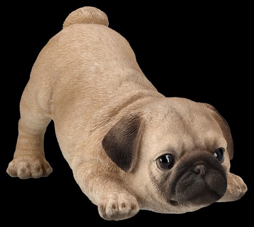 Chien figurine mops chiot - mops,