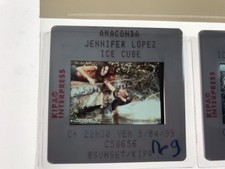 ANACONDA - JENNIFER LOPEZ ICE
