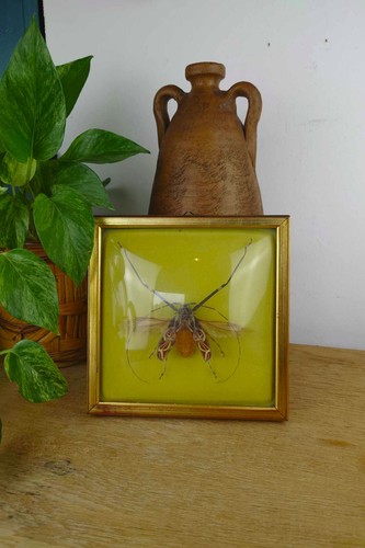 Cadre verre bombé avec - en,