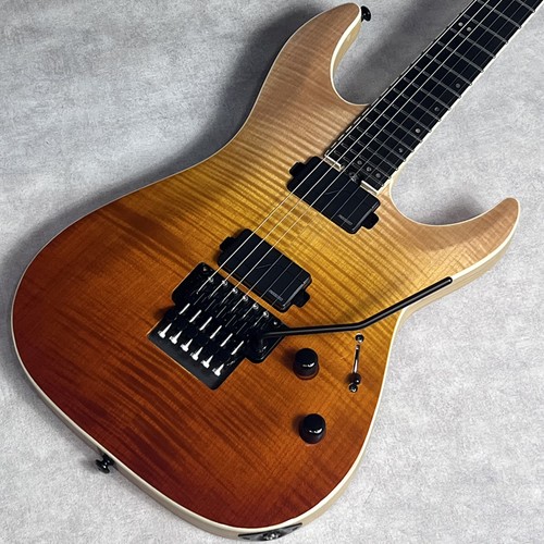 Schecter sls elite - c-1, fr