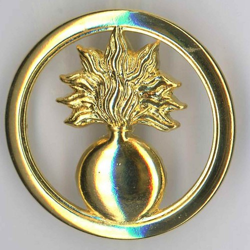 Ecoles militaires insigne - ecoles, de