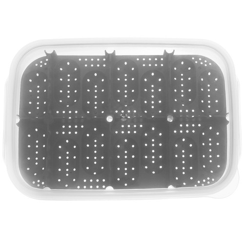 Incubateur tortue pour - incubateur,