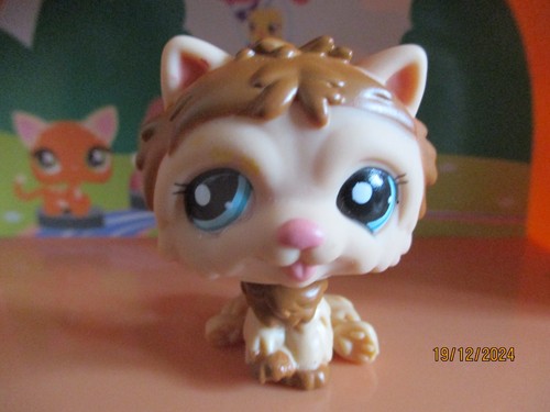 Petshop chien chow 1996 - petshop,