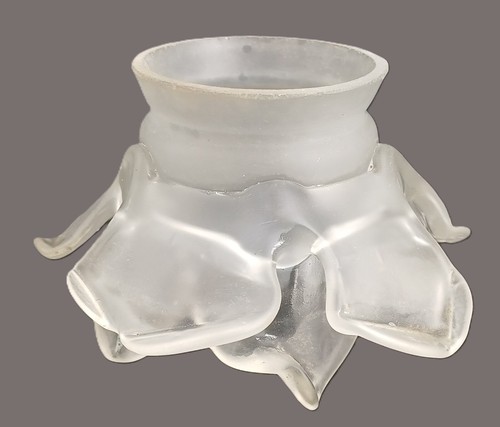 Tulipe verre transparent - en,