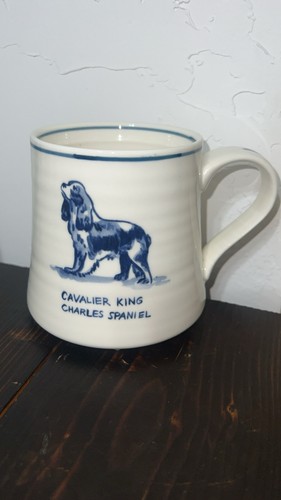 Cavalier king charles - cavalier,