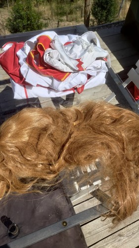 Perruque femme cheveux longs