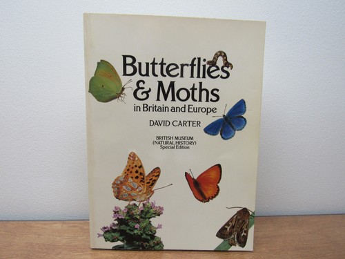 1982 butterflies and - and, moths